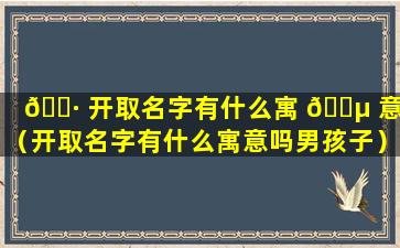 🌷 开取名字有什么寓 🐵 意吗（开取名字有什么寓意吗男孩子）